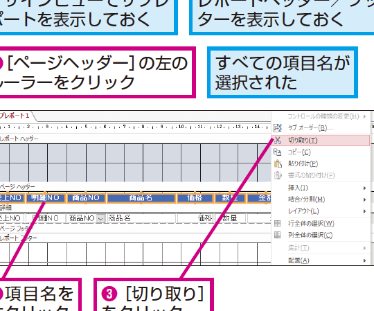 Accessのサブレポートの項目名をメインレポートに表示する方法 1 accesse381aee382b5e38396e383ace3839de383bce38388e381aee9a085e79baee5908de38292e383a1e382a4e383b3e383ace3839de383bce38388e381abe8a1a8