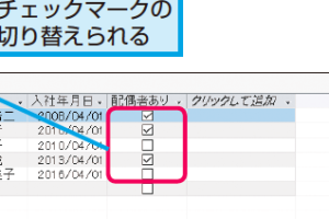 AccessのテーブルでのYes/No型の使い方 13 AccessのテーブルでのYes/No型の使い方