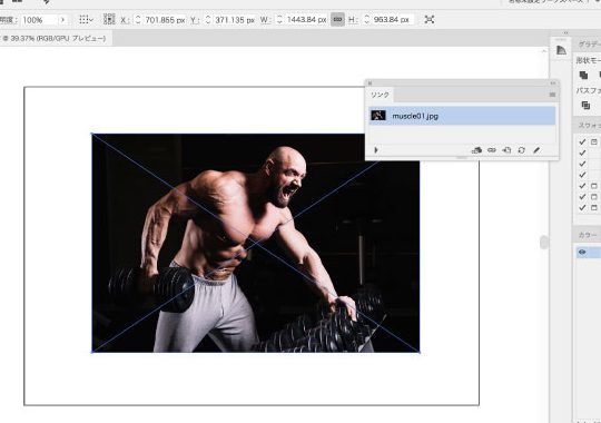 ピクチャーグラフの作成(画像の挿入はクリップボードからも) 1 e38394e382afe38381e383a3e383bce382b0e383a9e38395e381aee4bd9ce68890efbc88e794bbe5838fe381aee68cbfe585a5e381afe382afe383aae38383e38397