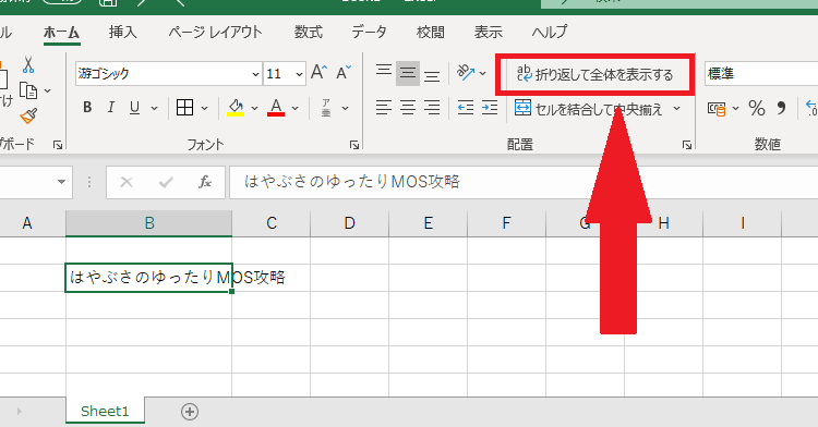 Excel 折り返し て 全体 を 表示 する 改行 1 excel e68a98e3828ae8bf94e38197 e381a6 e585a8e4bd93 e38292 e8a1a8e7a4ba e38199e3828b e694b9e8a18c